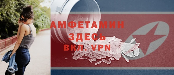гидра Арсеньев