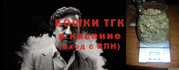 гидра Арсеньев
