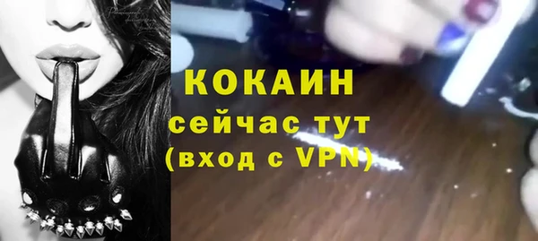 гидра Арсеньев