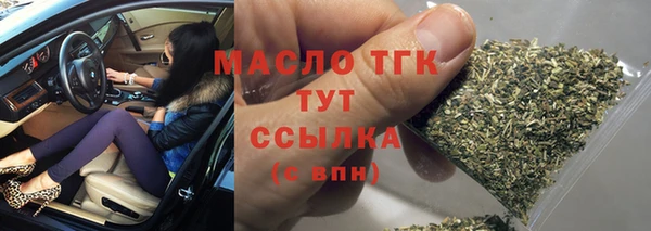 гидра Арсеньев