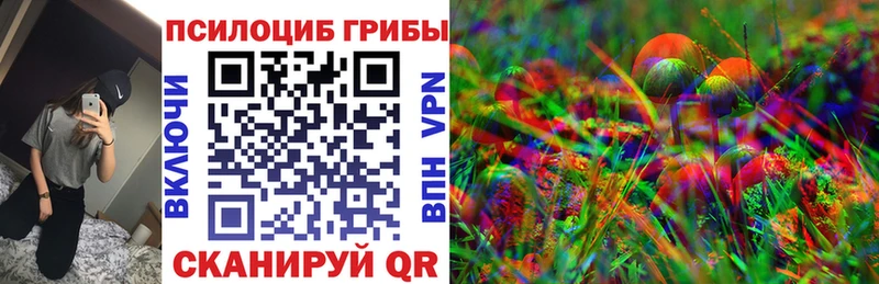 где найти наркотики  Белореченск  ОМГ ОМГ вход  Псилоцибиновые грибы Cubensis 
